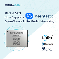 Module combiné (GNSS+LoRa+BLE+WIFI) - ME25LS01 nRF52840 +LR1110 GPS LoRa longue portée Combo 2.4G Tracker Smart Bluetooth Lpwan Module