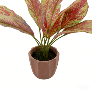 Nouvelle plante artificielle Aglaonema en pot de ciment, fausse reine rouge argentée, plante chinoise à feuilles persistantes pour coin intérieur - Product Image 4