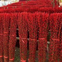Hochwertige 2026 Natürliche Trockenblumen Silberweide Frühlingsfest Konservierte Blumenpflanzen Heim Neujahrs-Deko Salix Argyracea