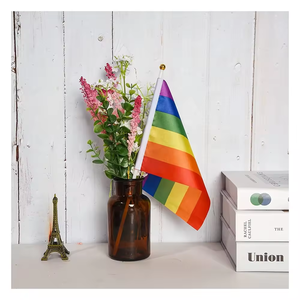 Venta al por mayor Mini de mano Arco Iris transgénero LGBTQ Bisexual progreso orgullo bandera poliéster y algodón banderín ondeante - Product Image 4
