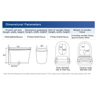 Siège de toilette intelligent silencieux à siphon, détection automatique, fermeture douce, double filtration, prise de tension personnalisée pour projets d'ingénierie en villas