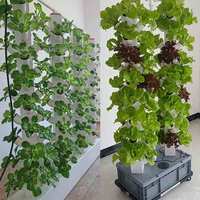 Haute qualité Commercial intérieur jardin aéroponique ferme verticale plante hydroponique grandir tour système de jardin Kit à vendre