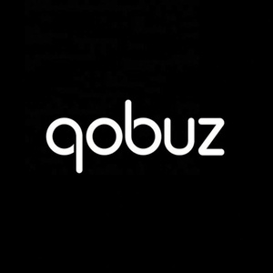 ซอฟต์แวร์คอบูซสำหรับการสตรีมเพลงและการค้นหาเพลง - Product Image 4