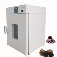 Ferme-ail professionnel noir en acier inoxydable, chambre de fermentation d'ail noir