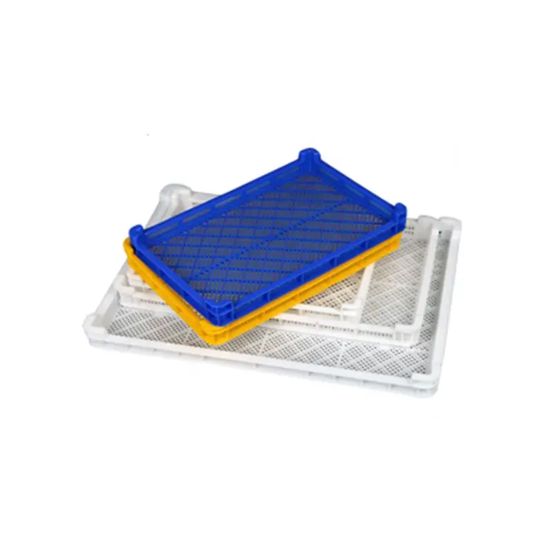 Plateau de stockage de pâtes plastique de qualité alimentaire avec grille échantillon gratuit plateau en plastique blanc Salver plateau en plastique formé sous vide