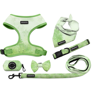 2025 primavera impresión personalizada Logo lujo nuevo diseñador personalizado neopreno mascota Collar perro Correa arnés conjunto - Product Image 1