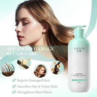 Groothandel Sulfaatvrije Haarverzorgingsbehandeling Schadeherstellende Diepgaande Haarreparatie Reinigende Ontspannende Olie-controlerende Natuurlijke Gember Shampoo Set