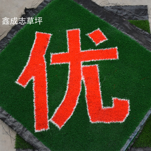 Césped Artificial Xinchengzhi, Césped Decorativo Personalizado para Interiores y Exteriores, Alfombra Verde de Plástico - Product Image 1