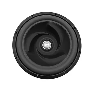 OEM Super Loud 300 Watt 12 Zoll Subwoofer Lautsprecher Dual 4 Ohm für Car Audio Lautsprecher