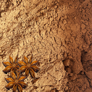 Especias a Granel, Anís Estrellado en Polvo, Bolsa de 25 kg, Empaque Minorista, Distribución al por Mayor, Hierbas Condimentarias, Fooray Spices Factory - Product Image 1