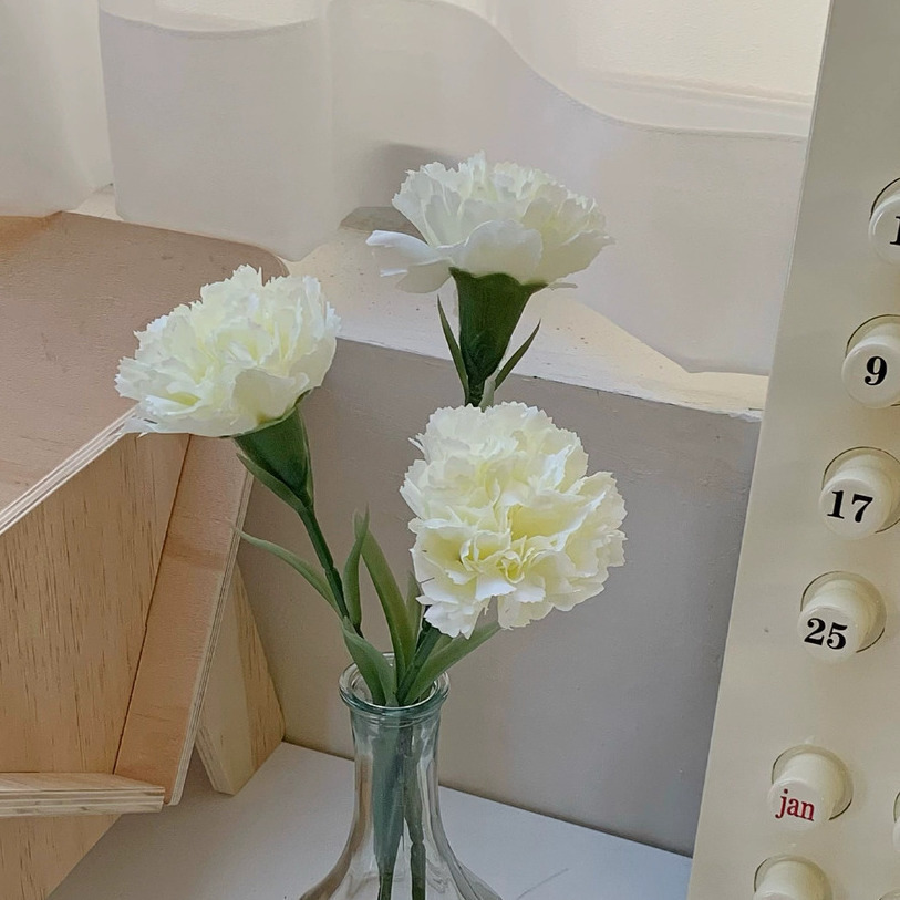 Oeillets blanc crème - 3 tiges