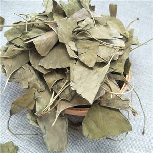 بالجملة اوراق جينكو العضوية اوراق جينكو الجافة بالشاي العشبي - Product Image 2