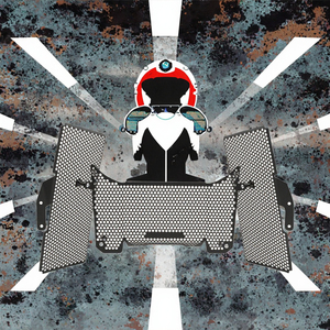 Protection de radiateur pour <span class=keywords><strong>Ducati</strong></span> Multistrada <span class=keywords><strong>V4</strong></span> S V4S S Sport 2021-2023, grille de protection, accessoires de moto pour le rallye Pikes Peak - Product Image 3