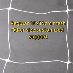 PP Ép Đùn Nhựa Dưa Chuột Leo Núi Net Trắng Trellis Lưới Lưới Với Bảo Vệ <span class=keywords><strong>UV</strong></span> Nhà Máy Hỗ Trợ Net - Product Image 3