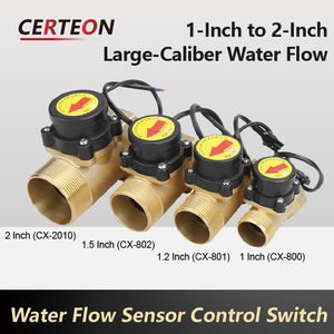 可调节1英寸直通泵控制器自动流量检测适配系统用水流开关传感器 - Product Image 3