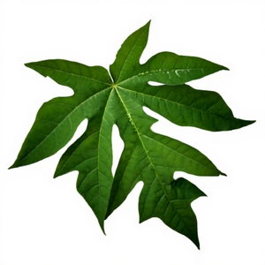 Proveedor al por Mayor de Hojas de Papaya Secas - TÉ AROMATIZADO Holiday FLAVORED TEA Marca Viet Delta Origen Vietnam Paquete al Vacío de Primera Calidad - Product Image 1