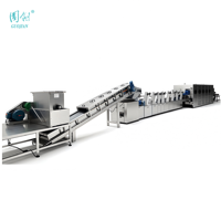 Ligne de production automatique de nouilles fraîches avec moteur, haute production et efficacité, machine à faire bouillir les nouilles instantanées