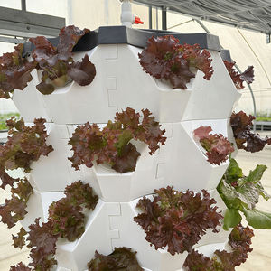 Nouveau système hydroponique vertical rotatif d'intérieur avec moteur et pompe, en PVC de qualité alimentaire pour usage domestique et agricole - Product Image 5