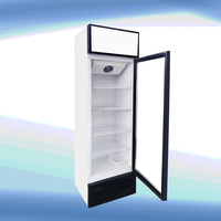 Réfrigérateur vertical Slim Soft Drinks 300L, vitrine réfrigérée pour bières, présentoir réfrigéré