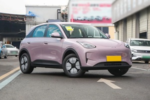 Offerta Speciale 2024 per Star Wish 310km Versione Youth, Auto Elettrica Usata con Motore 150-200kW e Batteria 30-50kWh - Product Image 4