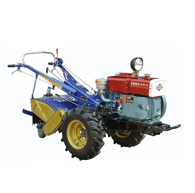 Petit moteur à essence diesel polyvalent de prix inférieur pour la machine agricole de tracteur de marche