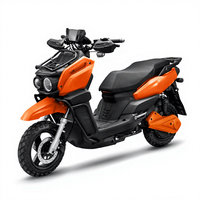 Nouvelle Moto Électrique Tout-Terrain TANKE 2026 60V, Moto Électrique Bipersonnelle en Option, Vélo Électrique Tout-Terrain pour Adultes