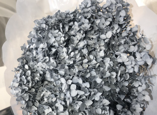 Grigio