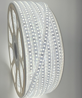 Bande LED Flexible 36V 5050 en Gros, 60 LED/M, Étanche IP65