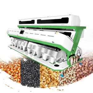 Máquina Clasificadora de Color de Alta Precisión para Frijoles, Arroz y Trigo, Capacidad de 12T/H, Precisión de Clasificación del 99.9%, Precio de Fábrica - Product Image 1