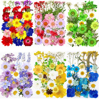 E2933 Vente en gros de mini-sacs de matériaux de fleurs séchées pour DIY, maquillage, nail art, décoration de cadre de téléphone, fleurs naturelles séchées et pressées pour la résine