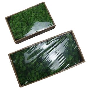 W-3078 गर्म बिक्री थोक विभिन्न रंग संरक्षित नीले मटर के पैनल - Product Image 3