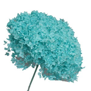 Fiori di ortensie all'ingrosso fiori secchi conservati artificiali fabbrica di fiori secchi decorazioni di nozze colori multipli fiori di ortensia - Product Image 6