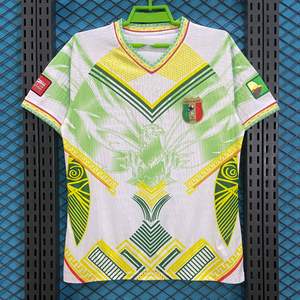 Maillot de football à manches courtes en polyester pour équipes WC, version joueur professionnel 2627 - Product Image 2