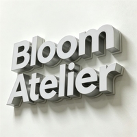 Lettres 3D LED en acrylique personnalisables - Éclairage avant/arrière, étanches IP65, options multicolores pour entreprises, hôpitaux, parcs et alimentation CC