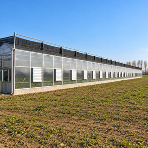 Lámina de Policarbonato para Invernadero Comercial, Sistema de Oscurecimiento para Cultivo Continuo de Vegetales y Flores - Product Image 1