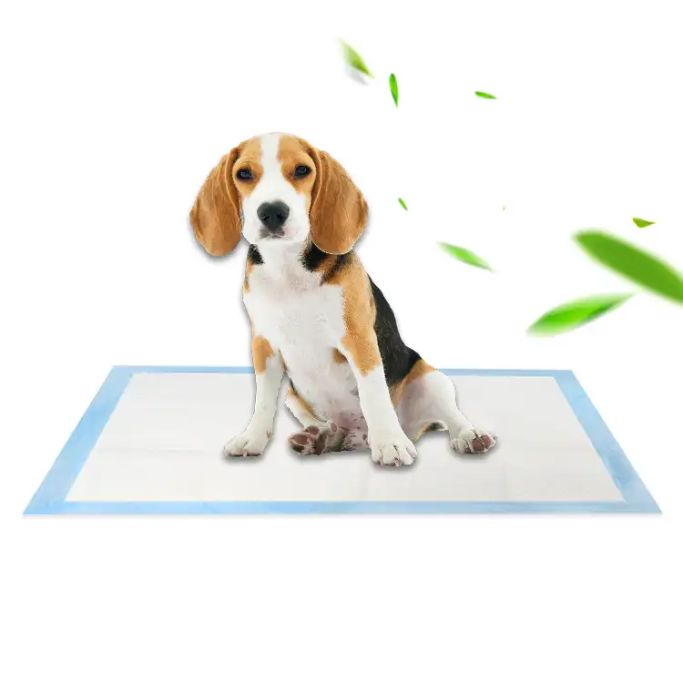 100% biodegradable disposable ECO underpads bed pad mat puppy pet dog pads for wee pee training