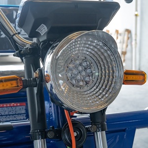 Tricycle électrique de 800W 60V pour adultes Tricycle à cargaison ouverte Batterie au plomb et au lithium Scooter de mobilité certifié CEE/DOT - Product Image 4