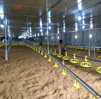 Équipement avicole automatique pour poules pondeuses, nouveau distributeur automatique de nourriture pour poulets U-Best, humide/sec, avec garantie d'un an