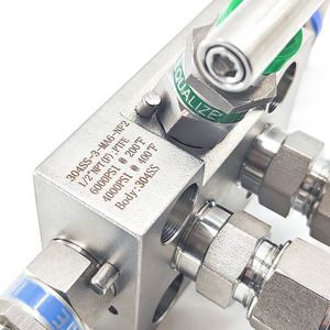 สามชิ้นสแตนเลส 304 EJA สามชิ้น - Product Image 6