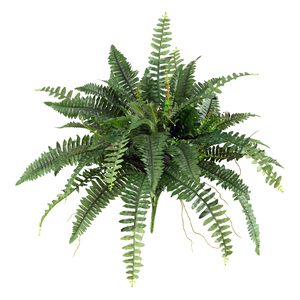 Venta caliente, helechos artificiales de Boston de alta calidad y hermosos, casi naturales, de 40 pulgadas, un grupo de 2 helechos artificiales - Product Image 3