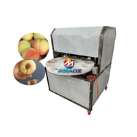 Hoge capaciteit perzikontpitter, fruitpit-scheidingsapparatuur voor blikjesperzikfabrieken & productie van fruitconserven