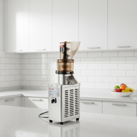 Extracteur de jus commercial entièrement automatique haute puissance, grand séparateur de pulpe de fruits et légumes industriel