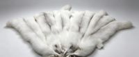 Peaux de renard véritable écologiques et respirantes couleur Platinum Frost pour accessoires et vêtements d'hiver de luxe – Vente en gros