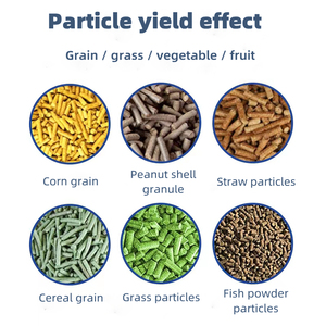 Línea de Producción de Granuladores de Alimento para Animales, para Alimento de Ganado, Conejos, Pollos y Cerdos - Product Image 5
