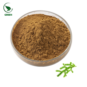 ผงไลโคโซเดียมแบบเบาผงดิบมีสารสกัดจำนวนมาก - Product Image 6