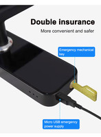 Serrure de porte intelligente, sécurité, numérique, électrique, poignée électronique, numérique, Tuya, Ttlock, avec clés Wifi, Nfc, serrure de porte Wifi intelligente