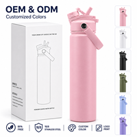 Bouteille d'eau isotherme en acier inoxydable de 25 oz avec double bec verseur, couvercle, poignée de transport, revêtement poudré, logo personnalisé, vente en gros OEM