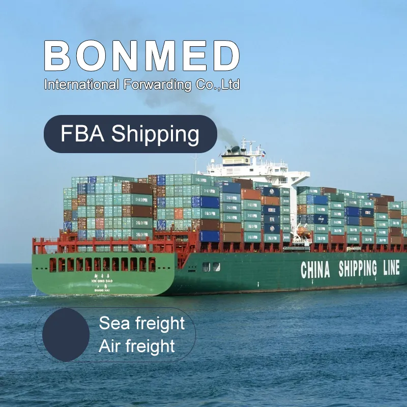 중국에서 미국에 가장 싼 근수 대리인 공기 운임 선박 회사 정상 10 아마존 Fba Italyfreight 운송업자