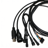 Produsen Perakitan Kabel Profesional China, Kabel Harness Otomotif, Konektor Tahan Air, Kabel Harness