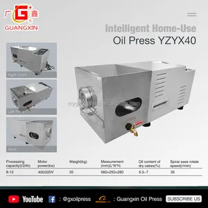 Ev yağ çıkarıcı ev yapımı yağ pres yağ yapma makinesi YZYX40